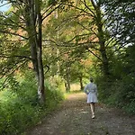 Homestorys Nature - Lakeview Pavilion Eupen