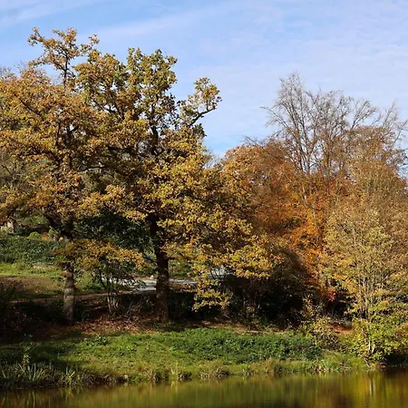 Homestorys Nature - Lakeview Pavilion * Έουπεν