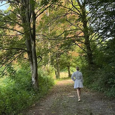 Homestorys Nature - Lakeview Pavilion Έουπεν