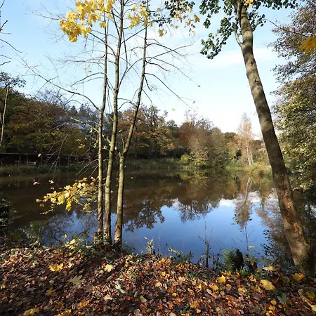 Homestorys Nature - Lakeview Pavilion * Έουπεν