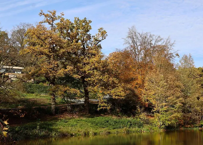 Homestorys Nature - Lakeview Pavilion * Eupen