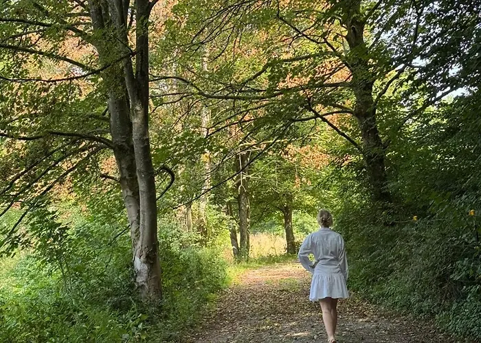 Homestorys Nature - Lakeview Pavilion Eupen