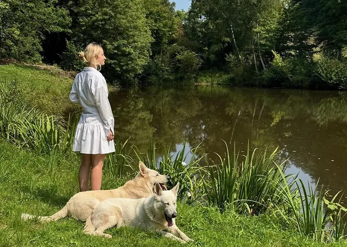 Homestorys Nature - Lakeview Pavilion