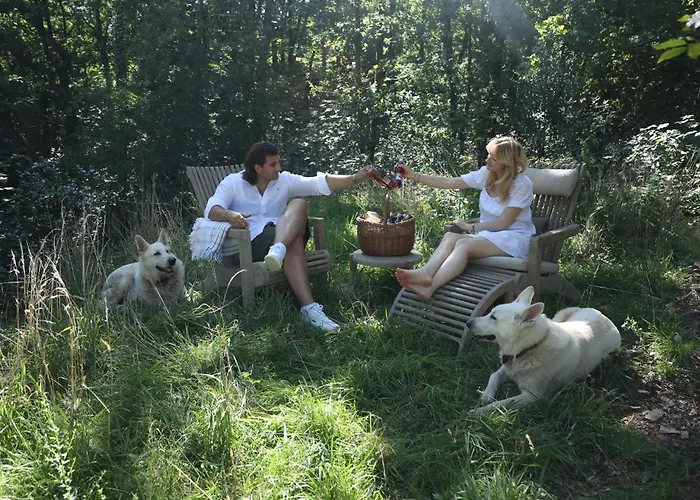 Homestorys Nature - Lakeview Pavilion