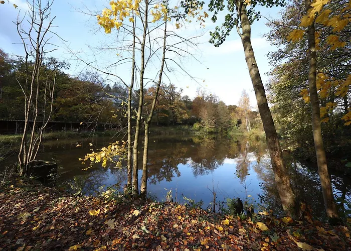 Homestorys Nature - Lakeview Pavilion * Eupen