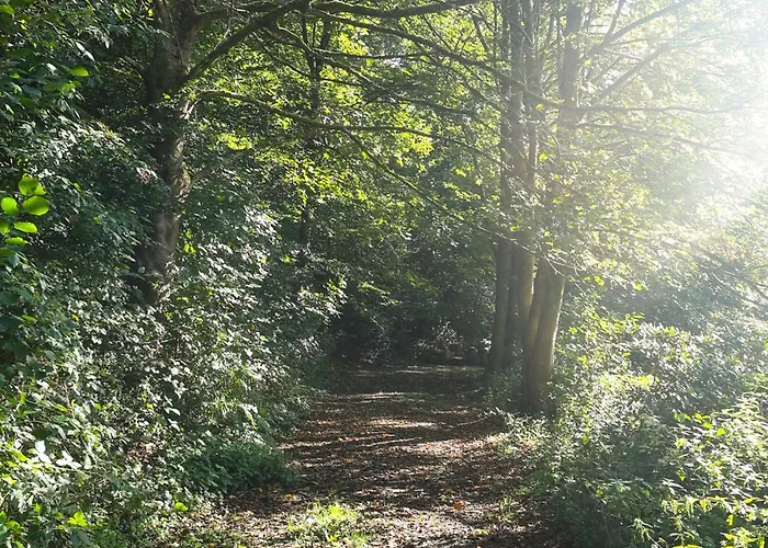 Villa Homestorys Nature - Lakeview Pavilion Eupen