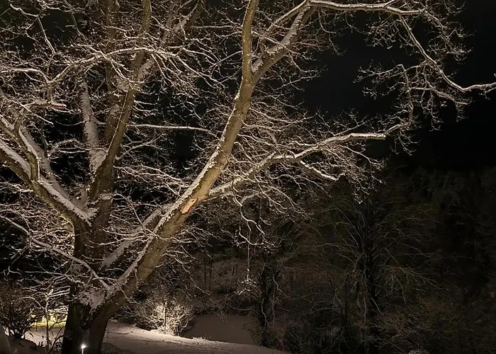 Homestorys Nature - Lakeview Pavilion * Eupen